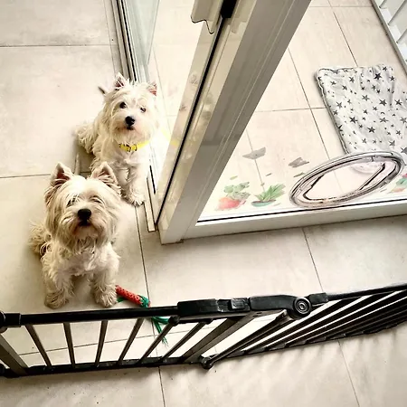 Rum i privatbostad Central- Private En-suite With Balcony In Shared Pietà