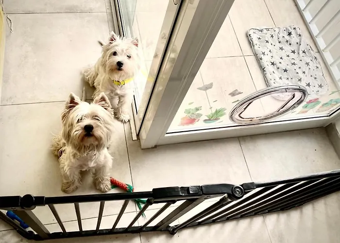 Gazde/Camere de închiriat Central- Private En-suite With Balcony In Shared Pietà